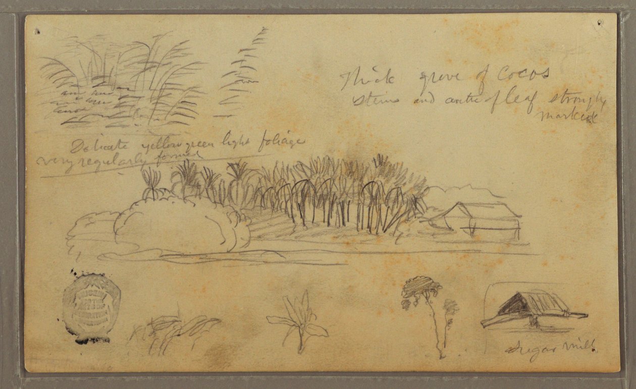 Kresba, Sketches, Ecuador or Colombia; Verso: Sketches, Ecuador or Colombia, 1857 od Frederic Edwin Church