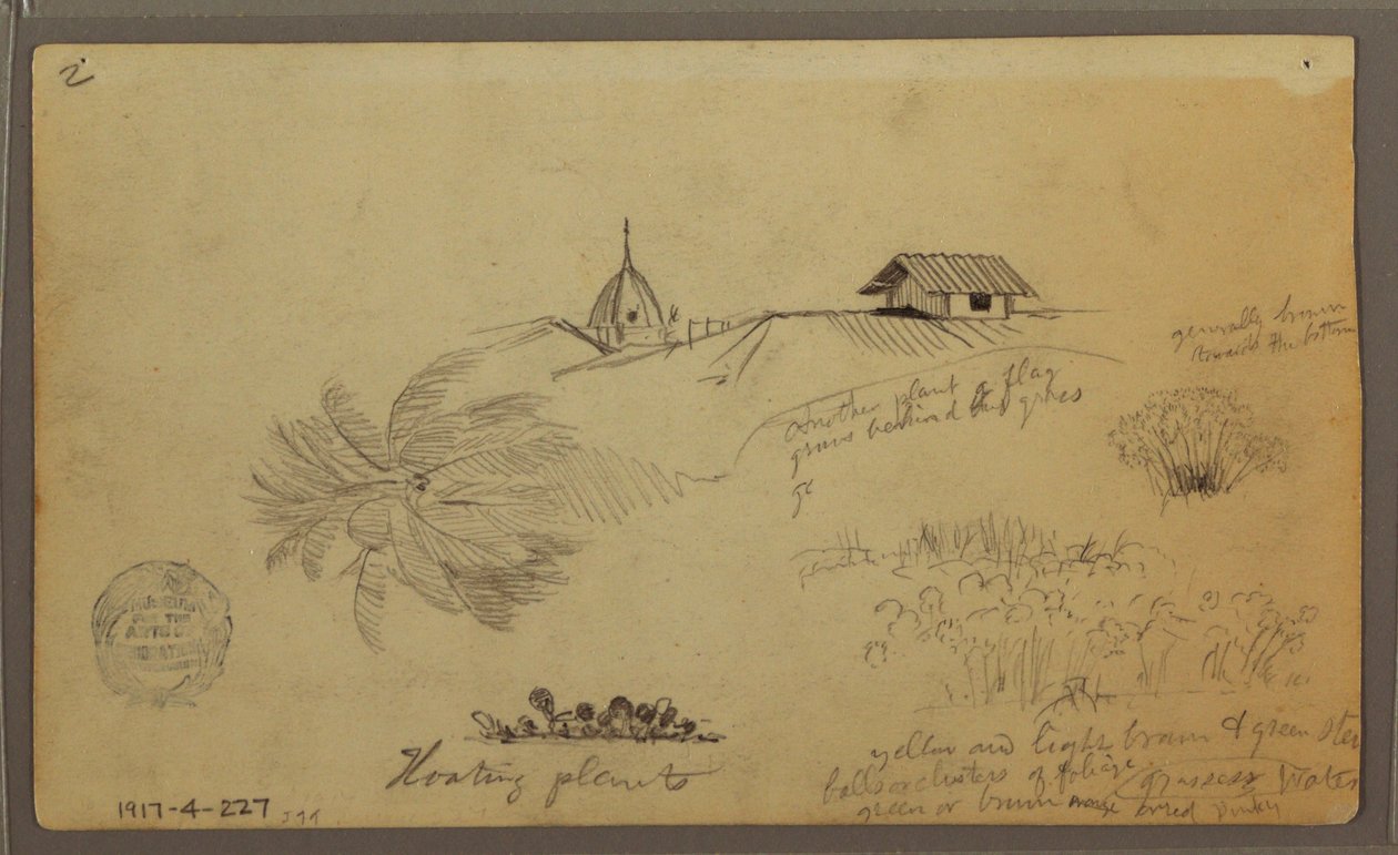 Kresba, Nebe nad mořem; Verso: Botanické skici, Střechy, květen 1857 od Frederic Edwin Church