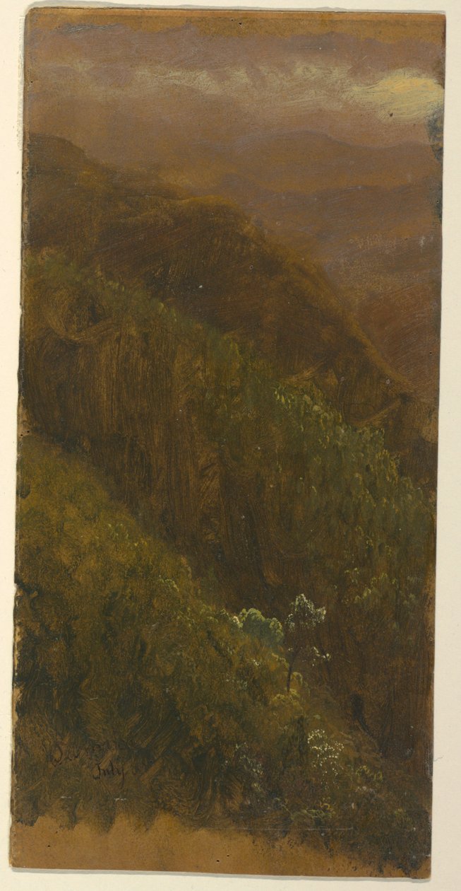 Kresba, Strmý svah, červenec 1865 od Frederic Edwin Church