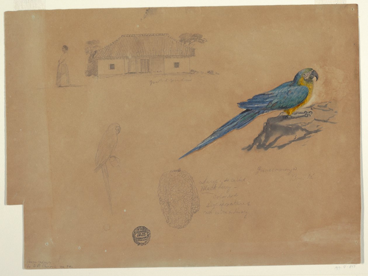 Kresba, Studie z Guaccamaya, Bogota, Kolumbie, červen-červenec 1853 od Frederic Edwin Church