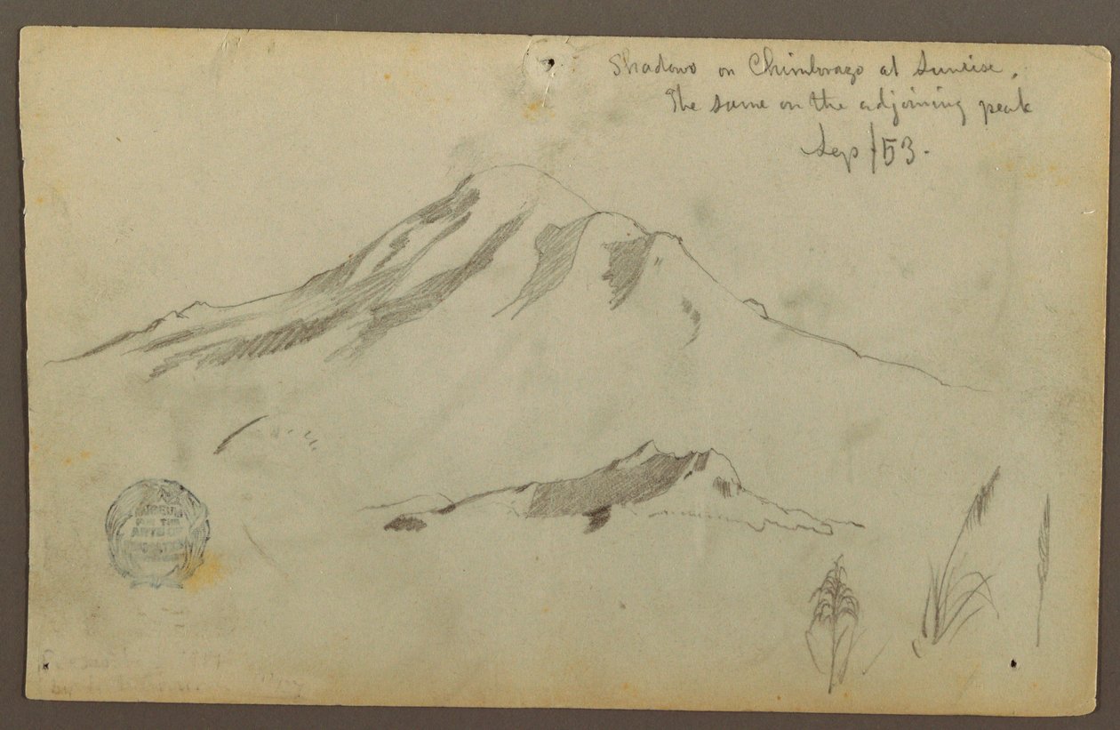 Kresba, Východ slunce na hoře Chimborazo a tři detaily trávy, září 1853 od Frederic Edwin Church