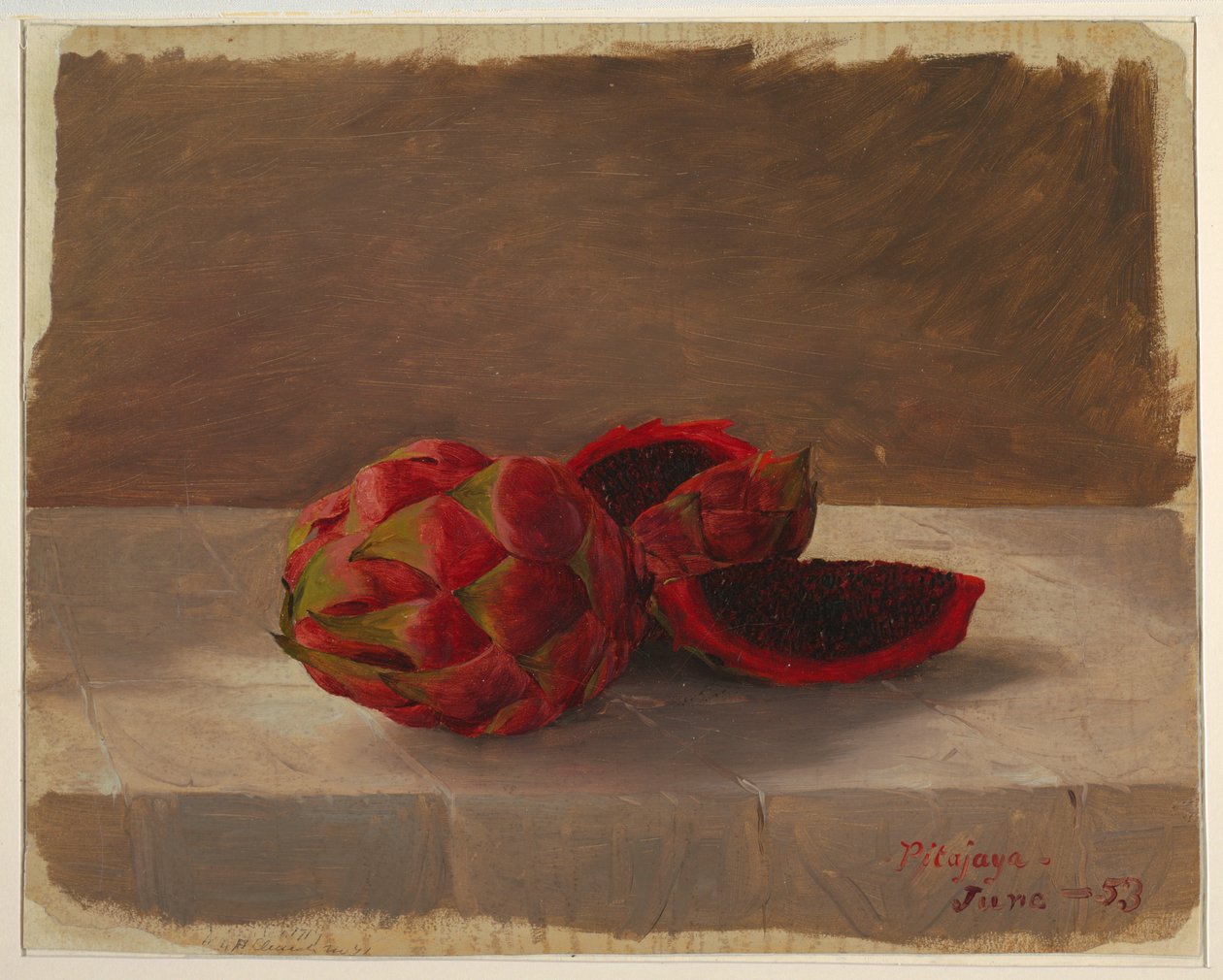 Kresba, Pitajaya Fruit, Kolumbie, červen 1853 od Frederic Edwin Church