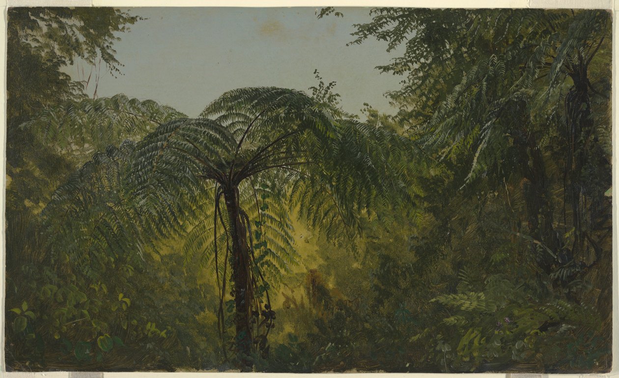 Kresba, Tropická krajina, červen nebo červenec 1865 od Frederic Edwin Church