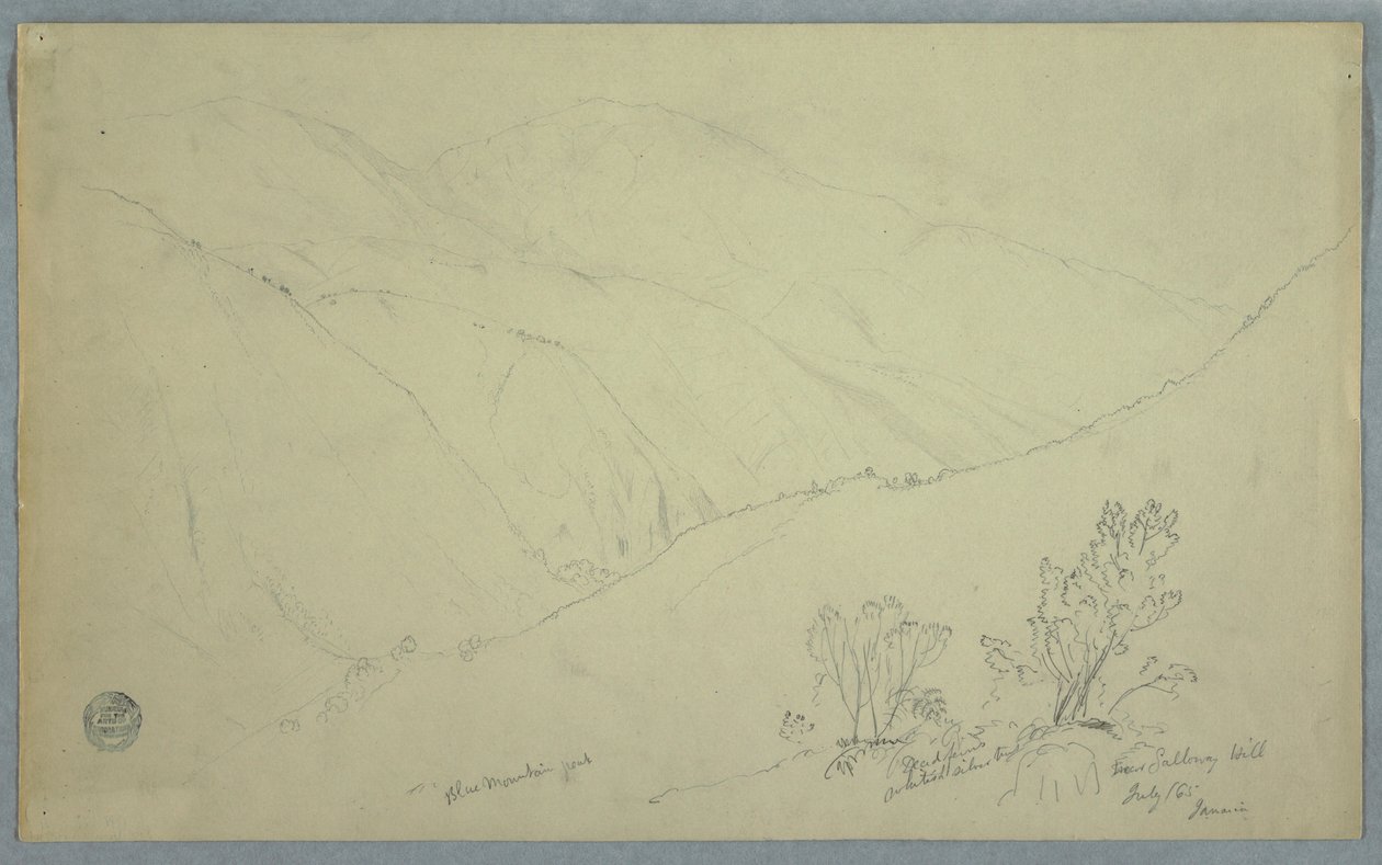 Kresba, Pohled na vrchol Blue Mountain Peak z blízkosti Salloway Hill, Jamajka, červenec 1865 od Frederic Edwin Church