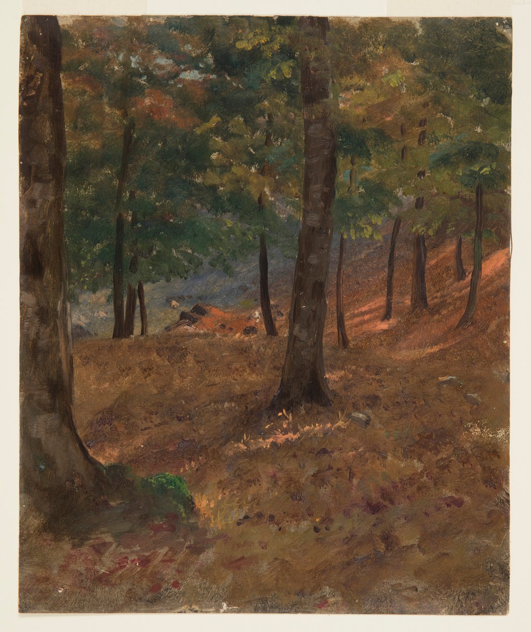 Kresba, lesní scéna, 1870-80 od Frederic Edwin Church
