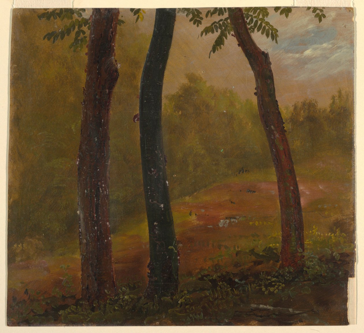 Kresba, Lesní scéna, Jamajka, 1865 od Frederic Edwin Church
