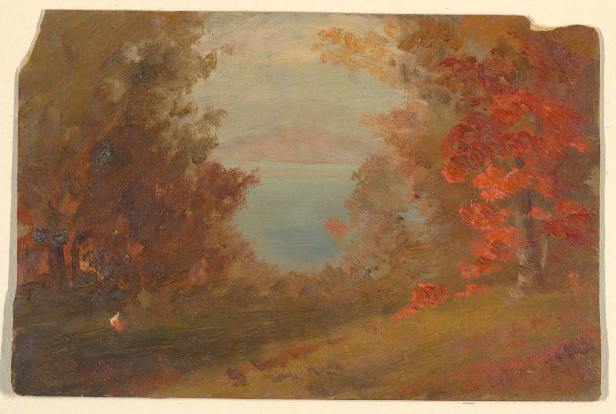 Kresba, Podzimní lesní scéna (Hudson, New York nebo Maine), 1860-70 od Frederic Edwin Church