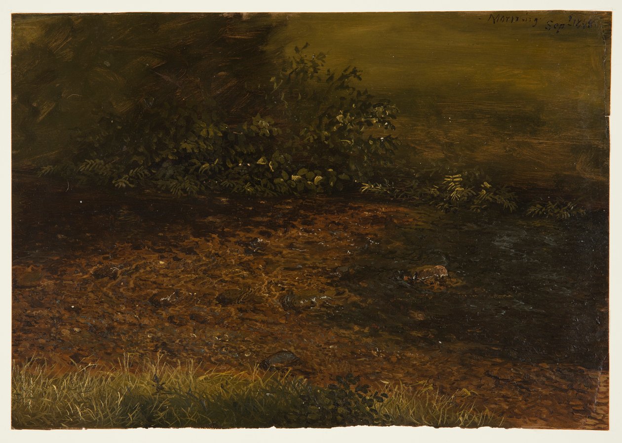 Kresba, Lesní potok v Catskills, září 1848 od Frederic Edwin Church