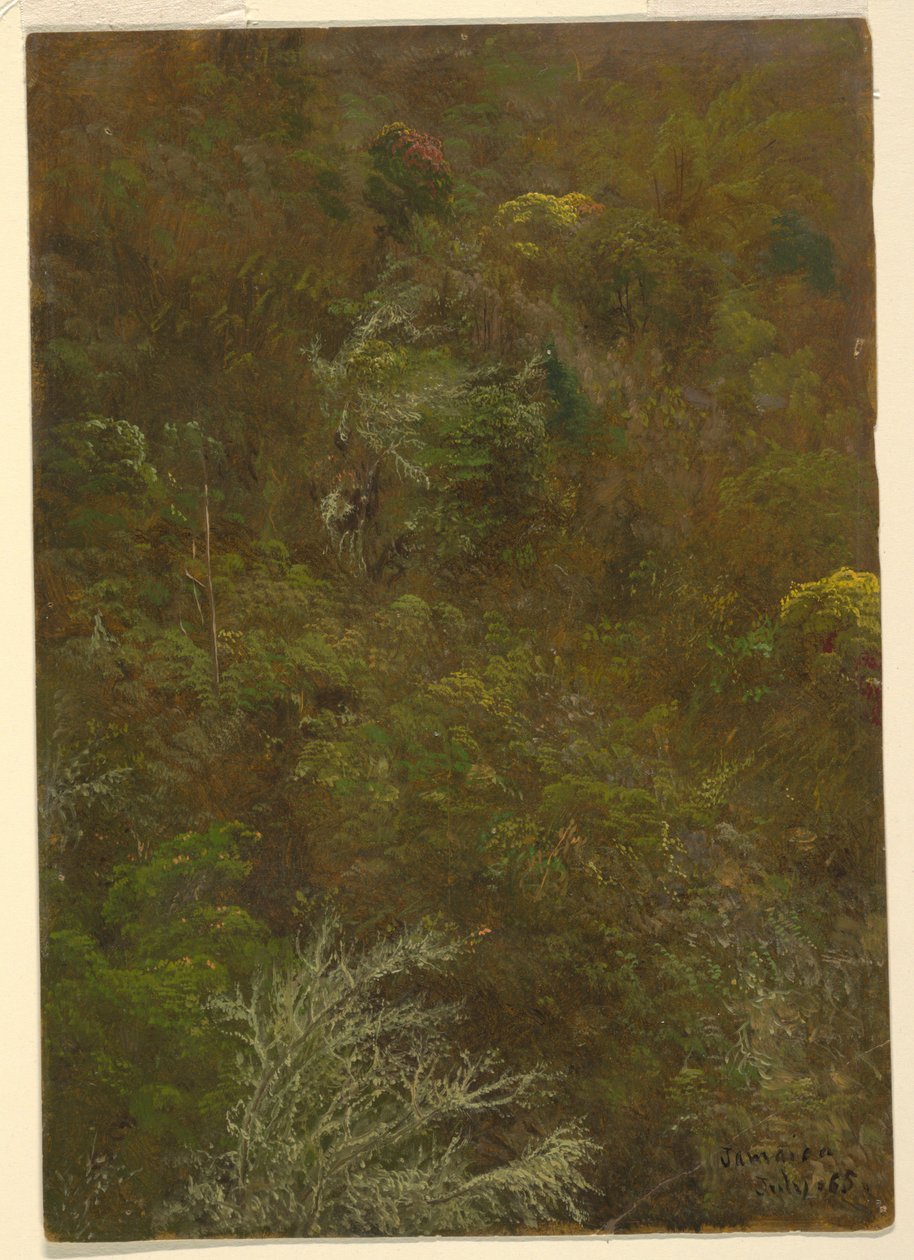 Hillside se stromy, Jamajka od Frederic Edwin Church