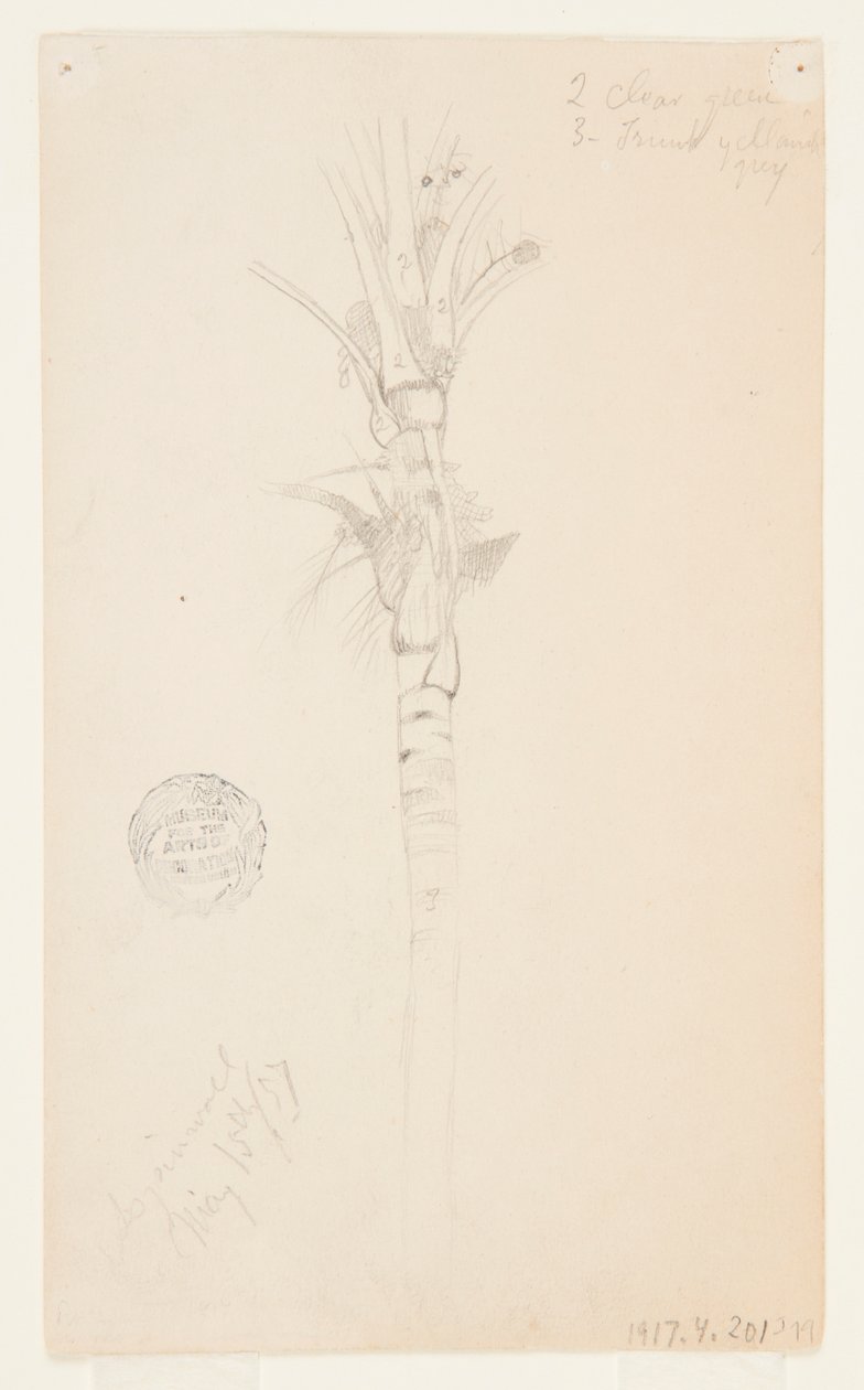 Listy a stonek palmy, Aspinwall, Panama od Frederic Edwin Church