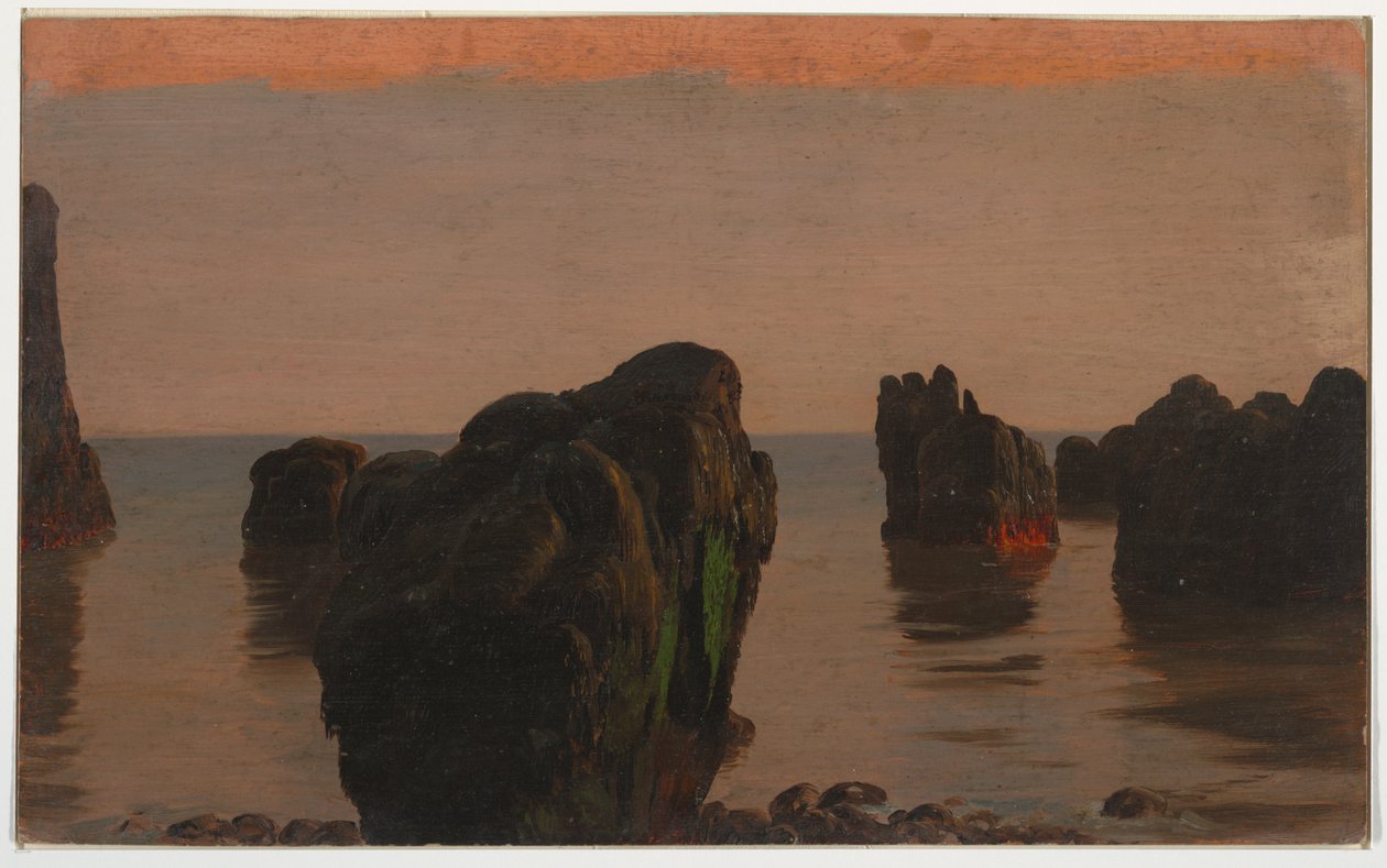 Skály a mech z Grand Manan od Frederic Edwin Church