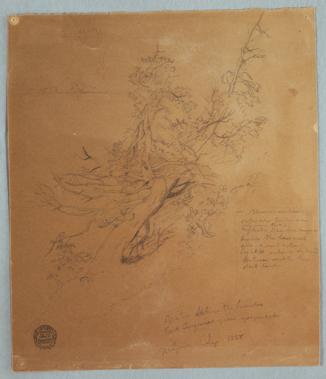Robustní strom v kanadské bance pod Niagarskými vodopády od Frederic Edwin Church