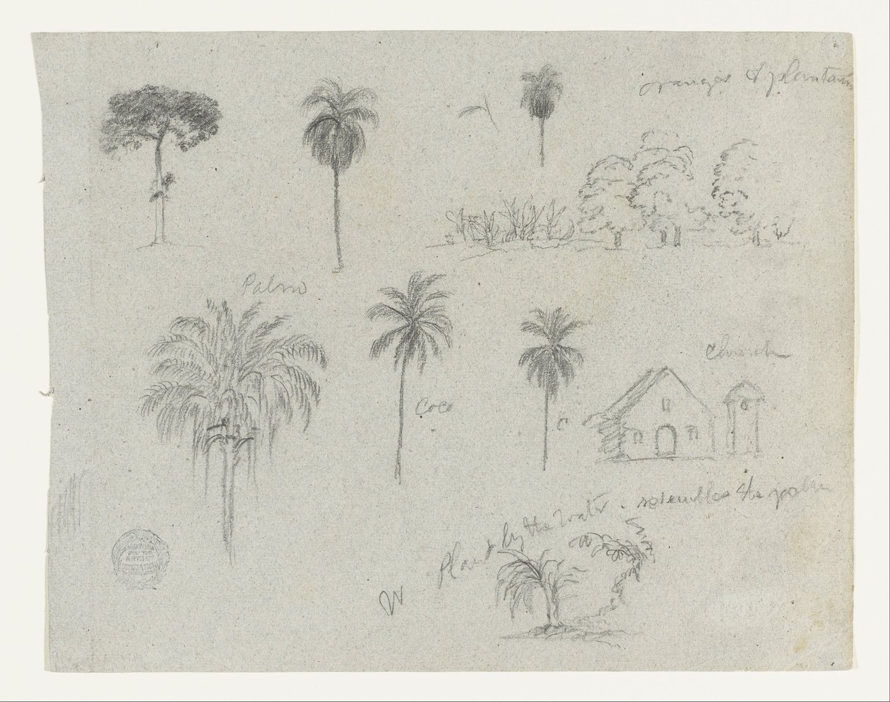 Náčrtky z Rio Magdalena, Kolumbie.  Botanické skici. Kostel.  Podobné jako -103. od Frederic Edwin Church