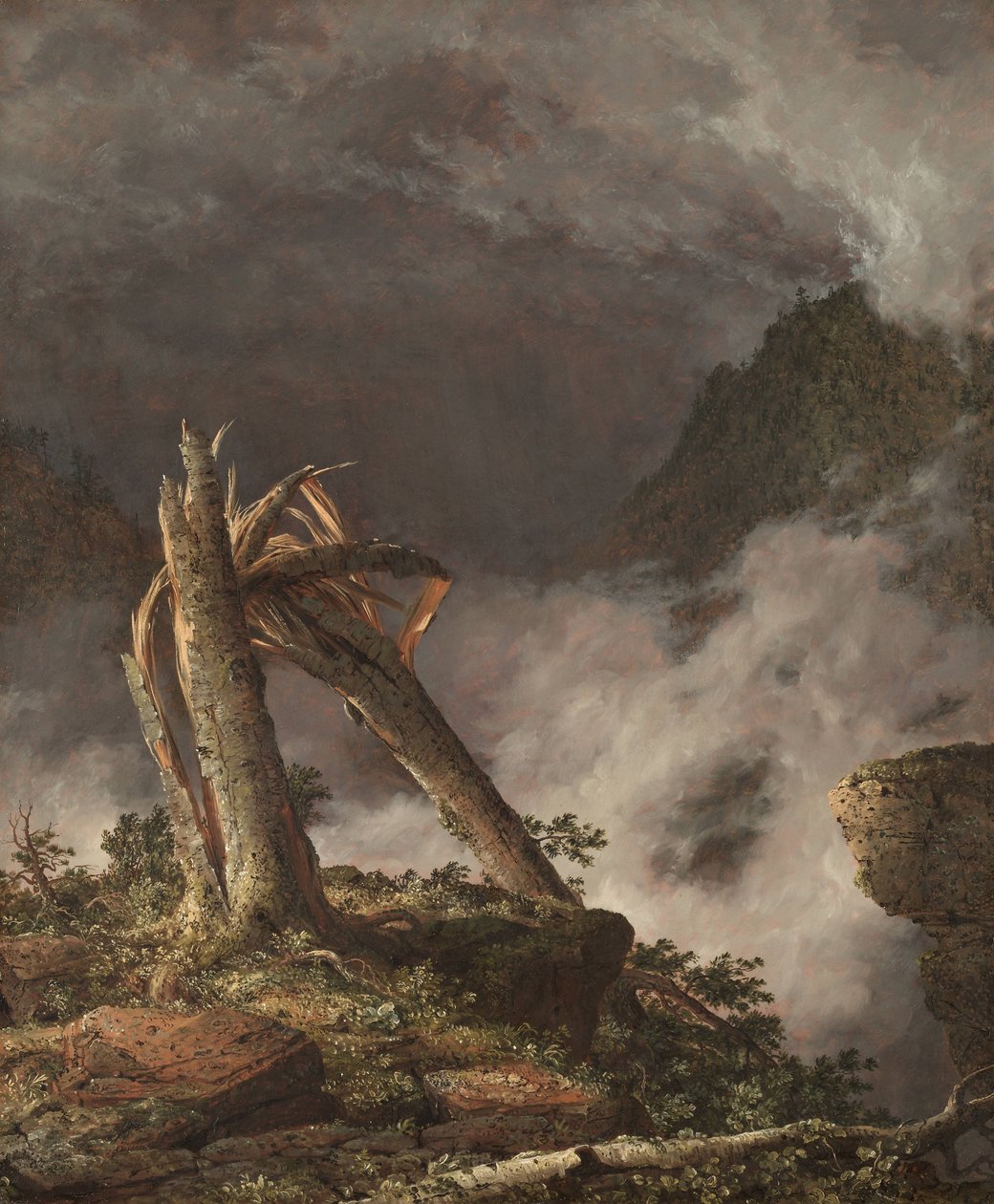 Bouře v horách od Frederic Edwin Church