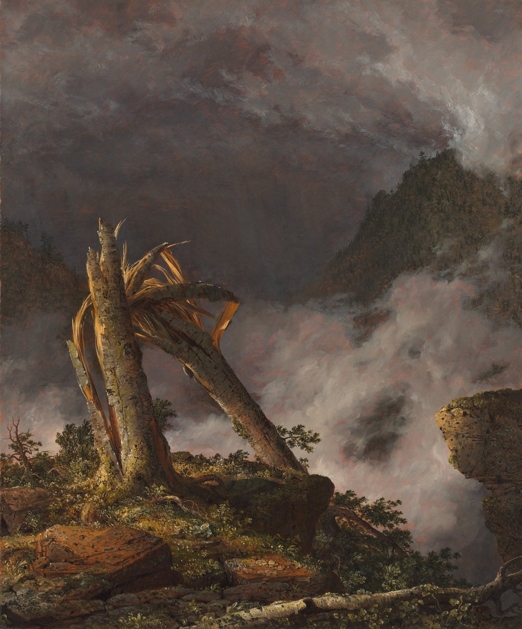 Bouře v horách, 1847. od Frederic Edwin Church