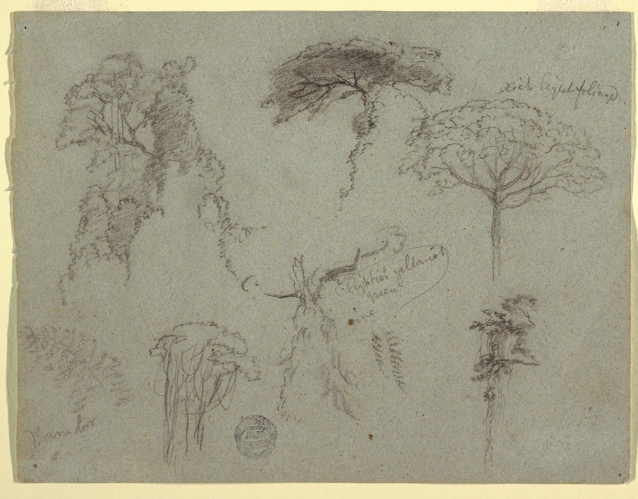Studie stromů, Ekvádor od Frederic Edwin Church