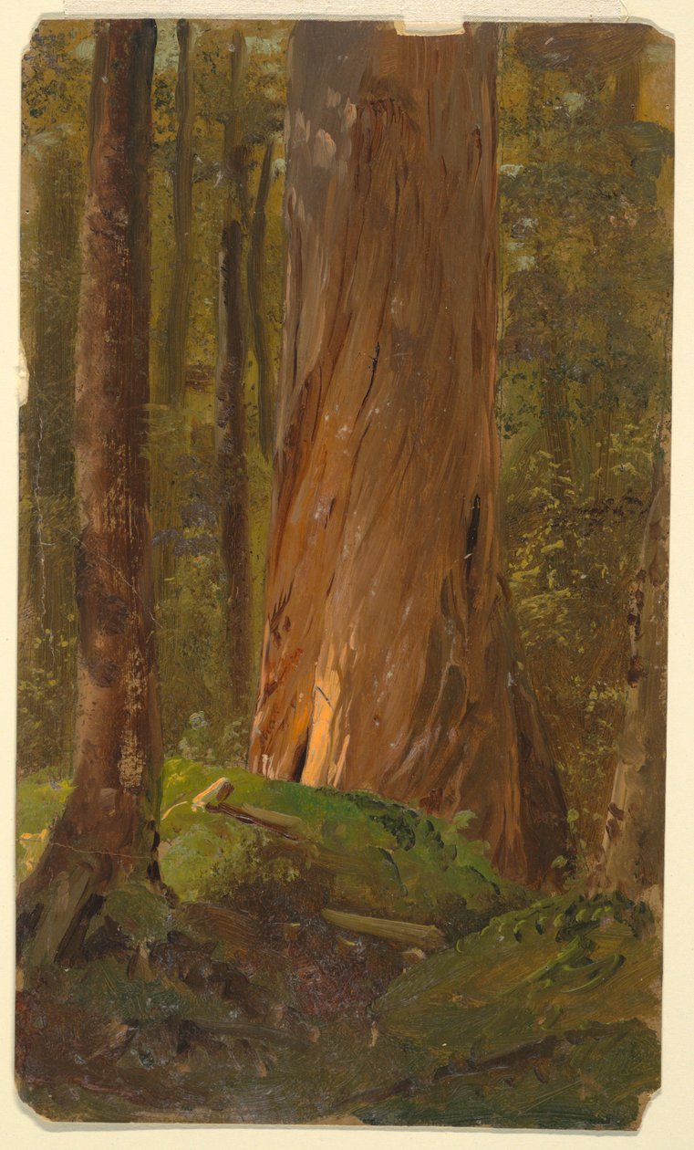Studujte v Maine Woods od Frederic Edwin Church