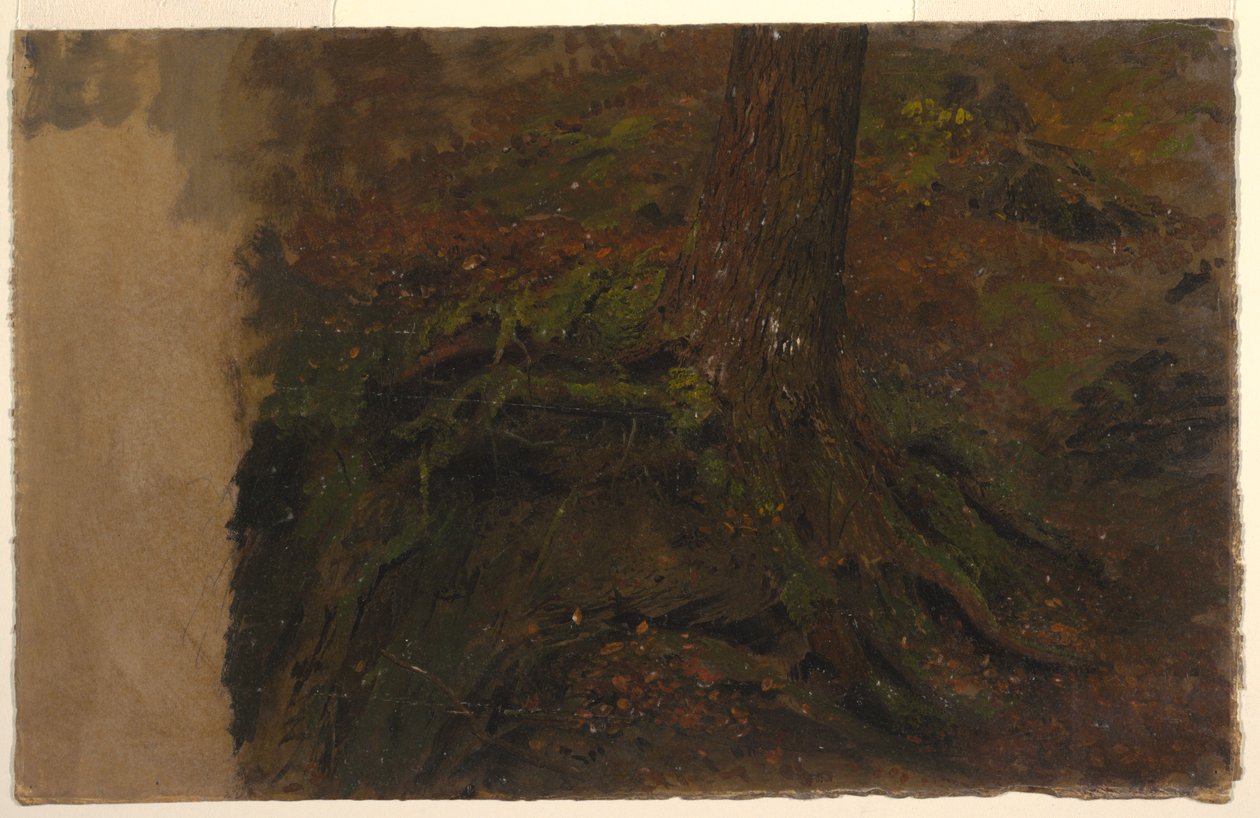 Studie kmene stromu od Frederic Edwin Church