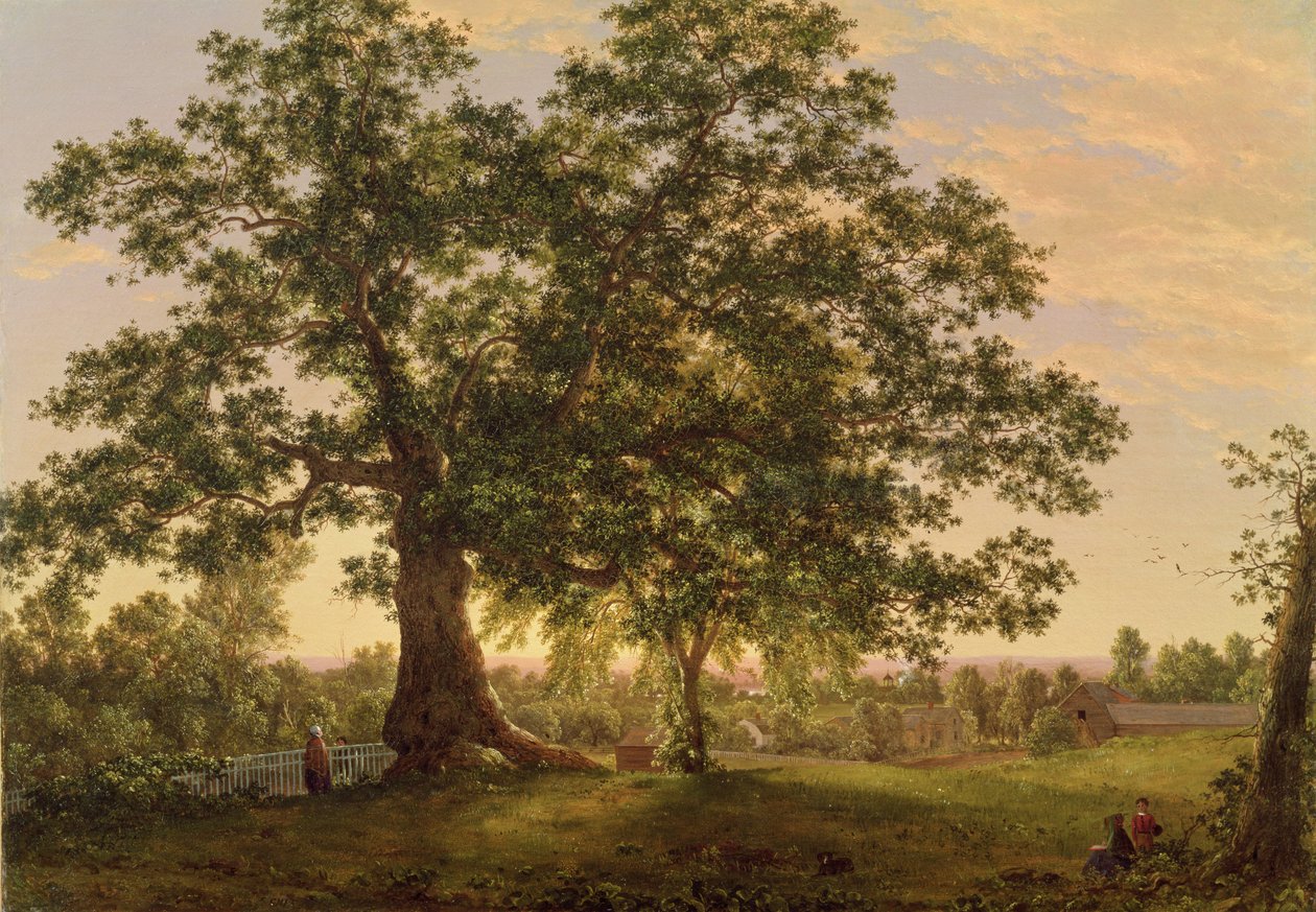 Charter Oak v Hartfordu, kolem roku 1846 od Frederic Edwin Church