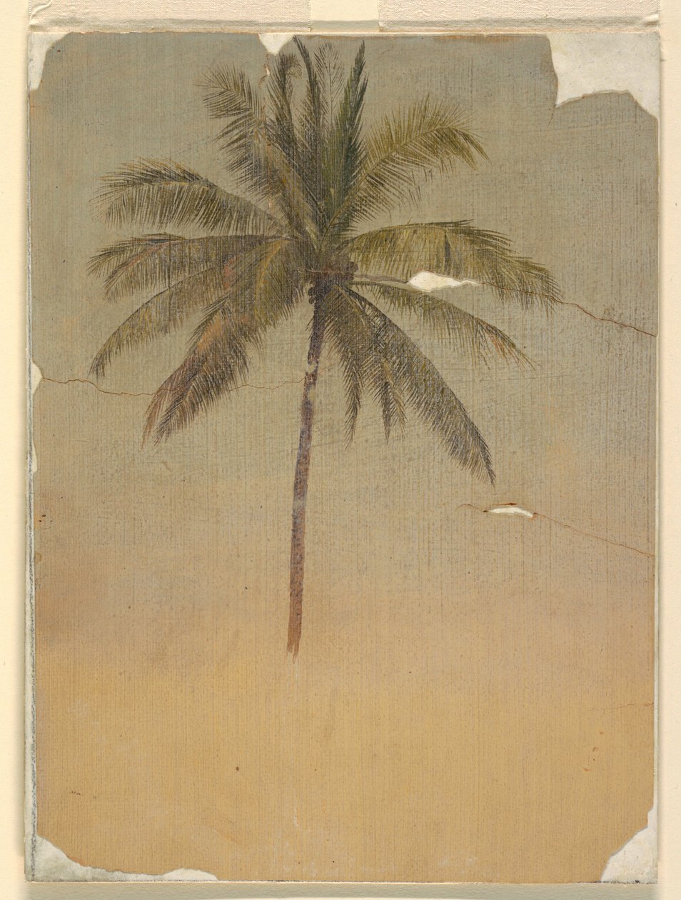 Kmen a vrchol palmy od Frederic Edwin Church