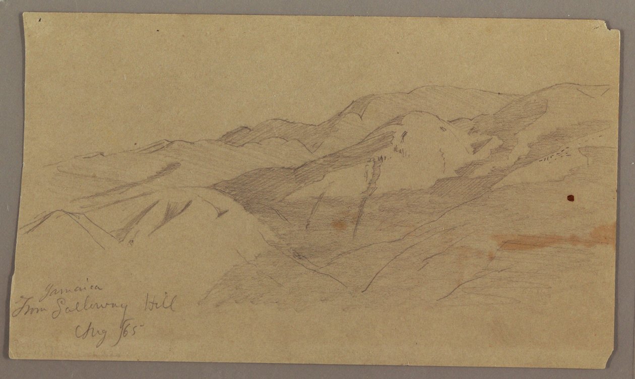 Pohled z Galleway Hill, Jamajka od Frederic Edwin Church