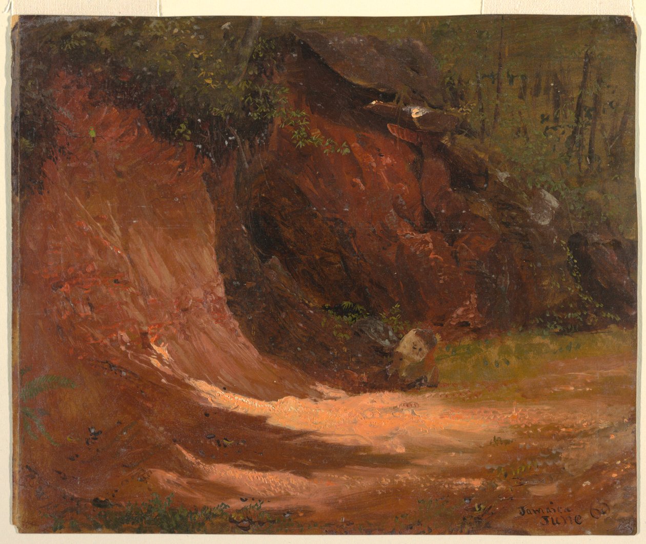 Woodland Bank, Jamajka od Frederic Edwin Church