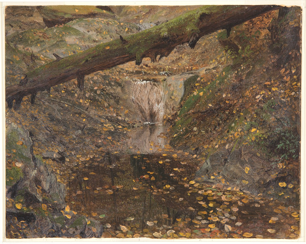 Woodland Stream, možná Mt. Desert, Maine od Frederic Edwin Church