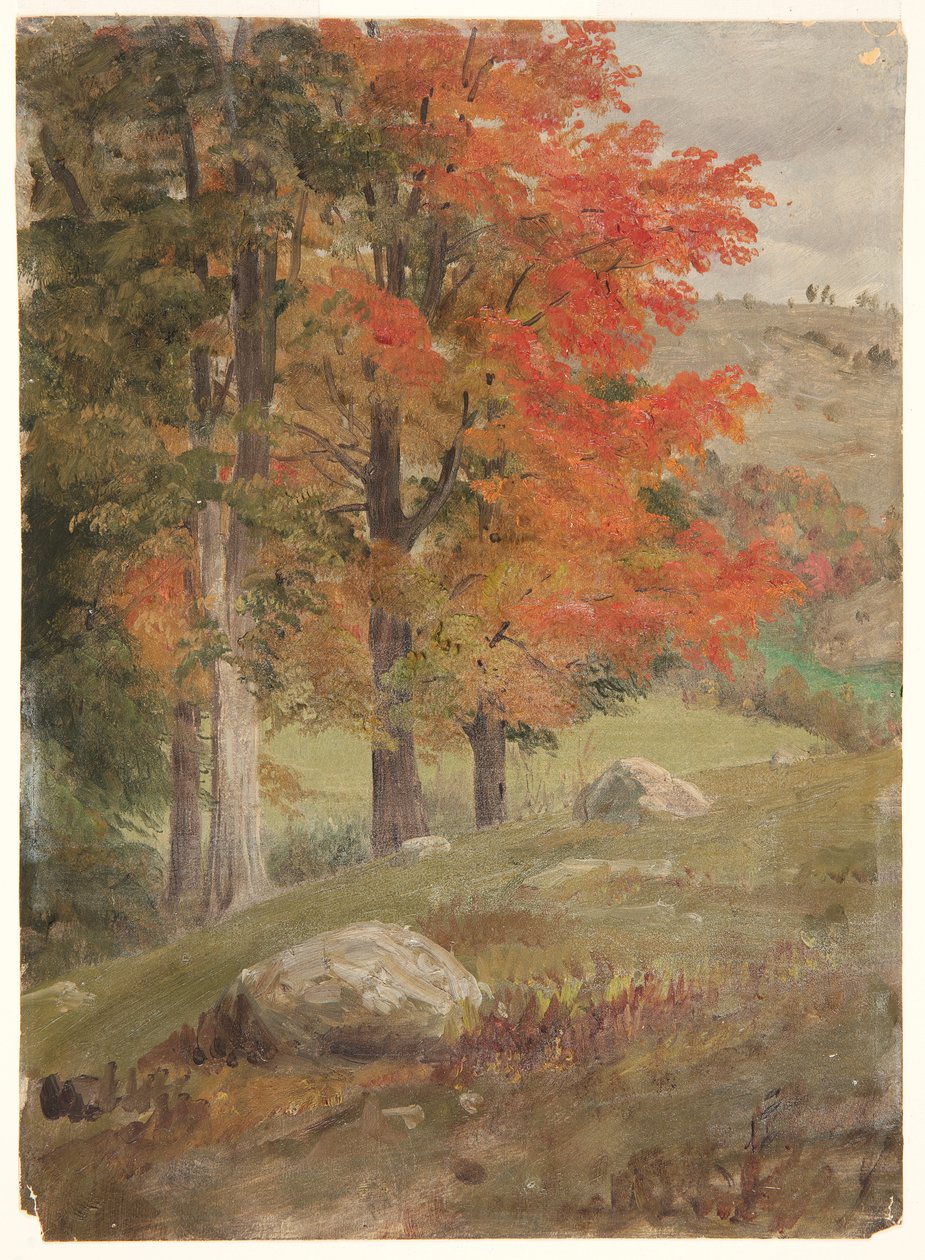 Lesy na podzim od Frederic Edwin Church