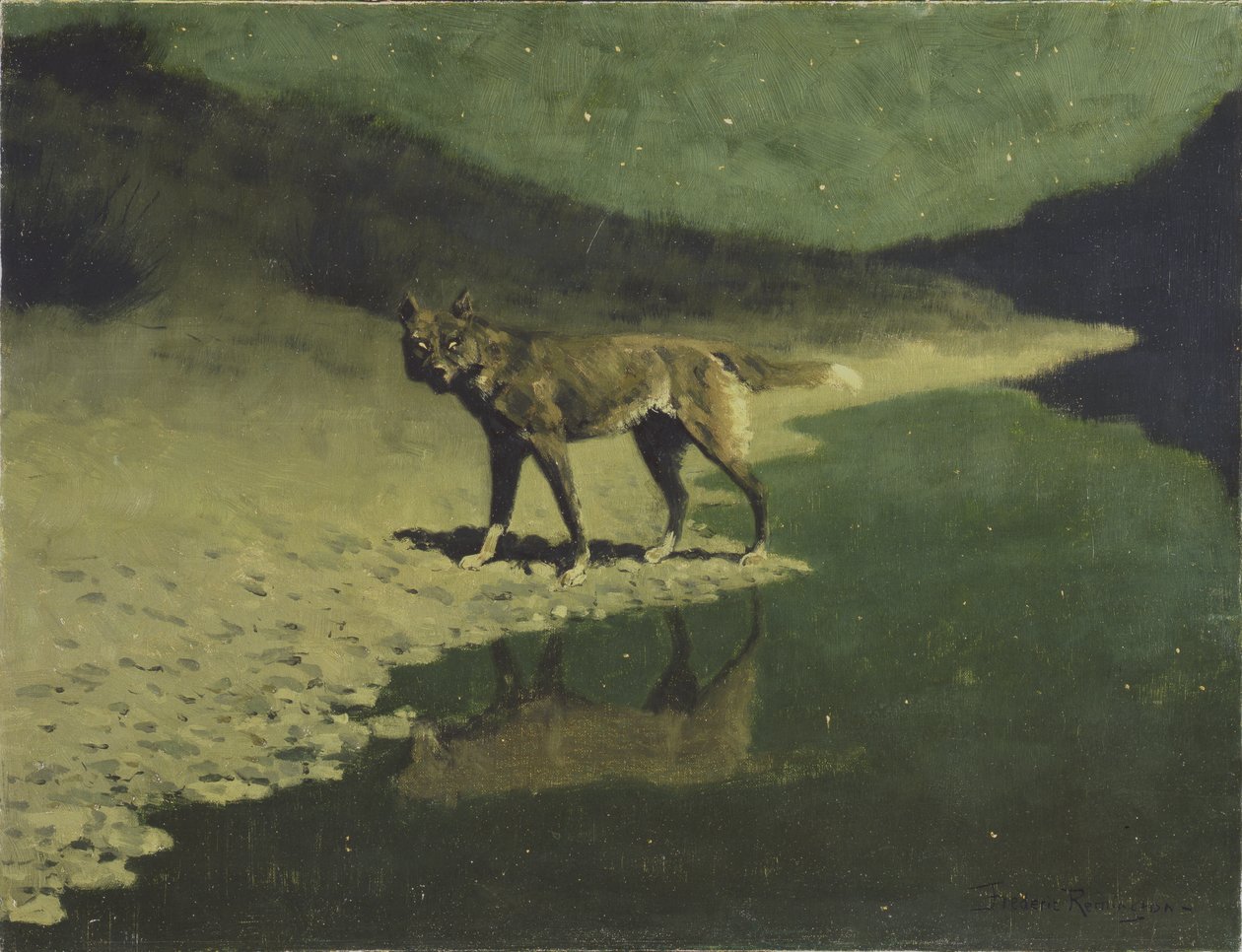 Moonlight, Wolf, kolem roku 1904 od Frederic Remington