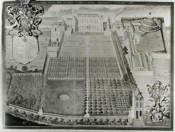 Královská zahrada léčivých rostlin, 1636 od Frederic Scalberge