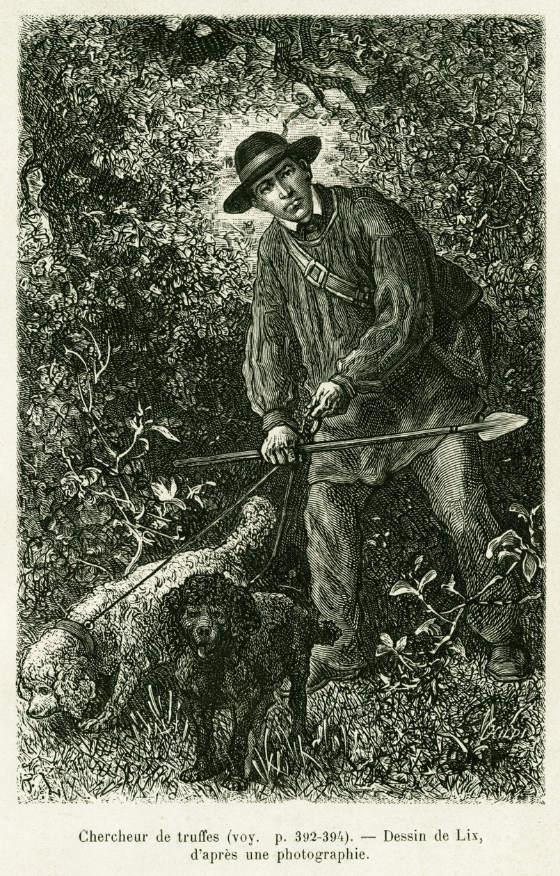 Hledač lanýžů. Rytina od Lixe k ilustraci příběhu A Through Alsace and Lorraine, Charles Grad, německý zástupce, v roce 1884, v tour du monde 1886, režie Edouard Charton (1807-1890), Hachette, Paříž. od Frederic Theodore Lix