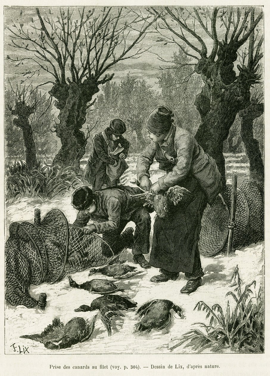 Chytejte kachny do sítě. Rytina od Lixe, k ilustraci příběhu A Through Alsace and Lorraine, v roce 1887, Charles Grad, německý zástupce, v tour du monde 1888, režie Edouard Charton (1807-1890), Hachette, Paříž. od Frederic Theodore Lix
