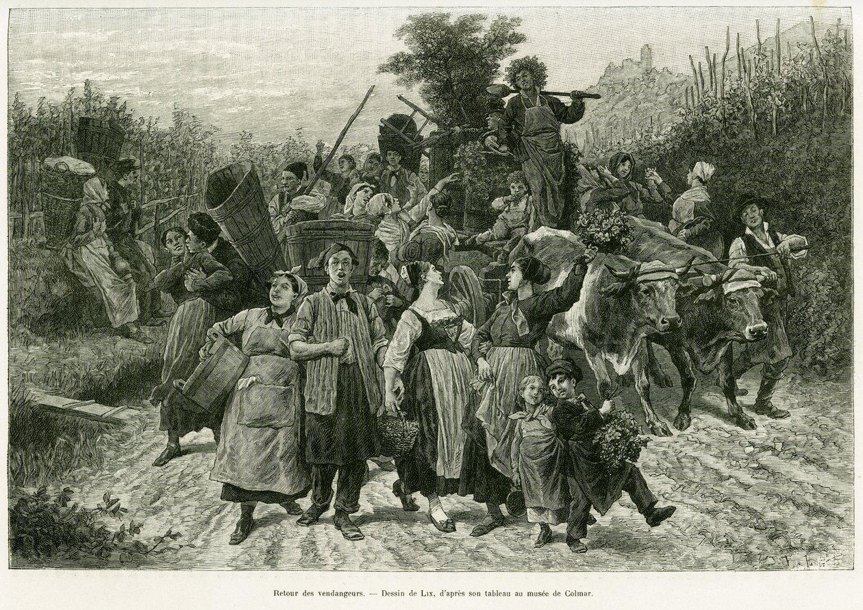 Návrat úrody. Rytina od Lixe, k ilustraci příběhu A Through Alsace and Lorraine, v roce 1887, Charles Grad, německý zástupce, v tour du monde 1888, režie Edouard Charton (1807-1890), Hachette, Paříž. od Frederic Theodore Lix