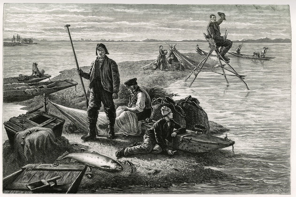 Lov lososů. Rytina od F. Lixe k ilustraci příběhu „Alsasko a Lotrinsko“, v roce 1884, od Charlese Grada (1842-1890), německého zástupce, spisovatele a přírodovědce. Vyšlo v Le Tour du monde, nouveau journal des voyages, 2. semestr 1885, vyd. od Frederic Theodore Lix