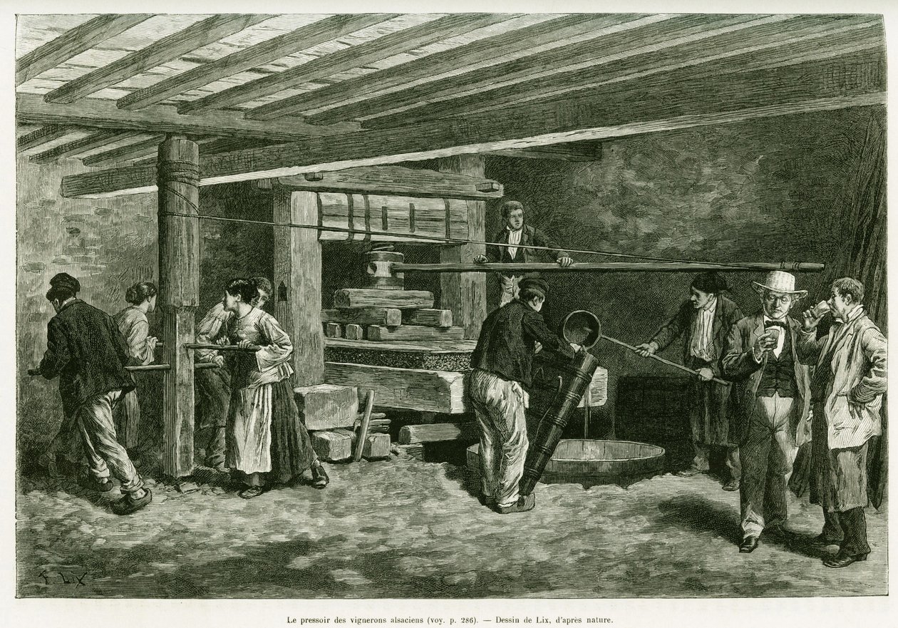 Vinný lis alsaských vinařů. Rytina od Lixe, k ilustraci příběhu A Through Alsace and Lorraine, v roce 1887, Charles Grad, německý zástupce, v tour du monde 1888, režie Edouard Charton (1807-1890), Hachette, Paříž. od Frederic Theodore Lix