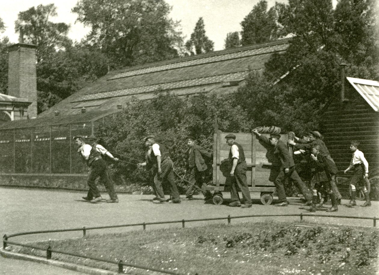 Tým mužů pohybující leoparda v dřevěné bedně, následovaný dvěma chlapci, London Zoo, 1922 (černobílá fotografie) od Frederick William Bond