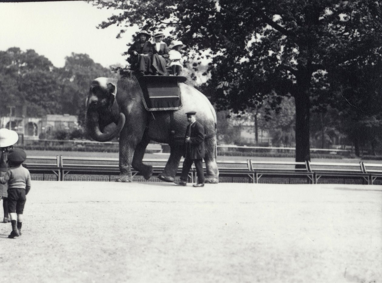 Asijský slon, na kterém jezdí dvě dámy a mladá dívka, s ošetřovatelem po boku, Londýnská zoo, květen 1914 od Frederick William Bond