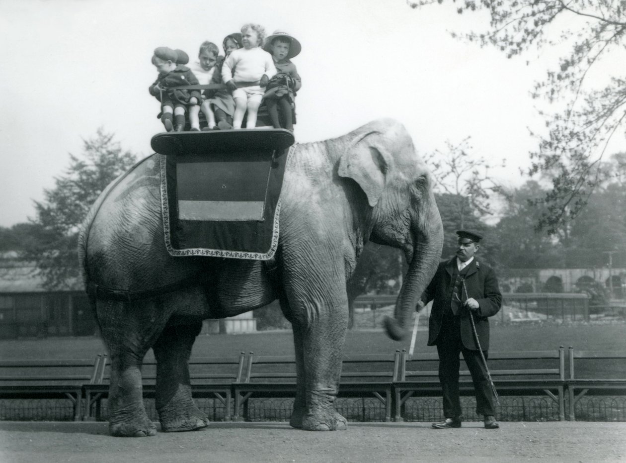 Slon indický s chovatelem, který bere malé děti na projížďku do londýnské zoo, kolem roku 1913 od Frederick William Bond
