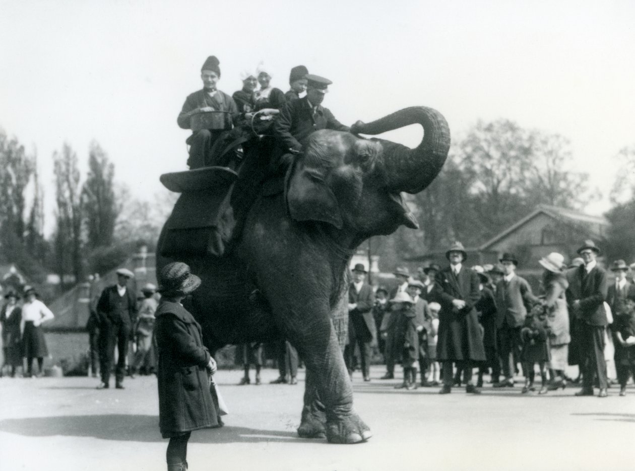 Arménští návštěvníci na koni Indiarani, sledováni davy diváků, Londýnská zoo, květen 1923 (čb foto) od Frederick William Bond