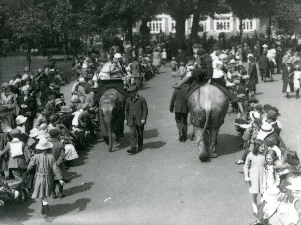 Vyjížďky na asijských slonech s davy přihlížejících v londýnské zoo, 1922 (černobílá fotografie) od Frederick William Bond