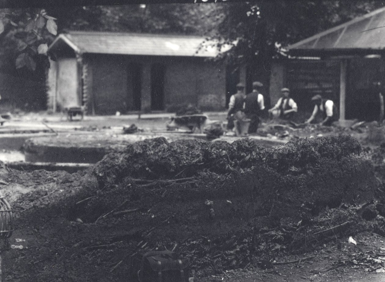Beaver lodge s chovateli v pozadí, londýnská zoo, červenec 1916 od Frederick William Bond