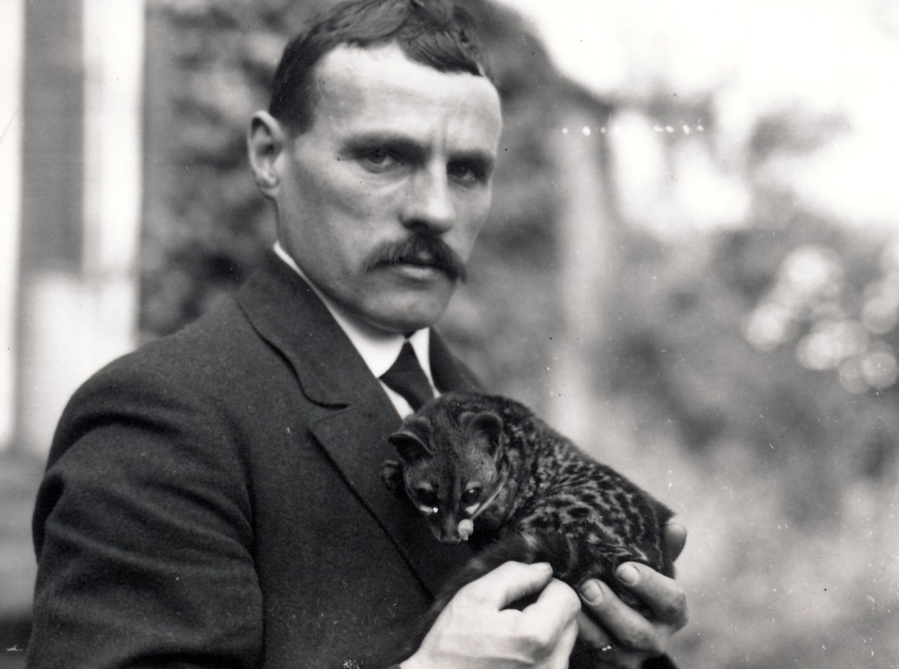 Charlie Dixon s genetem, 1916 od Frederick William Bond