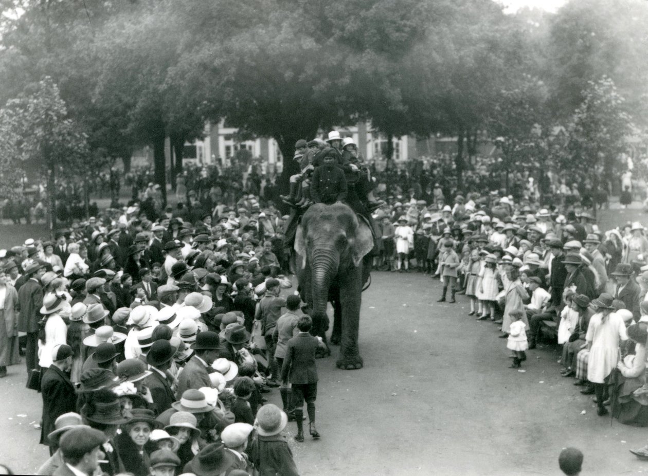 Davy návštěvníků sledují jízdu na slonech v londýnské zoo, srpnový svátek, 1922 od Frederick William Bond