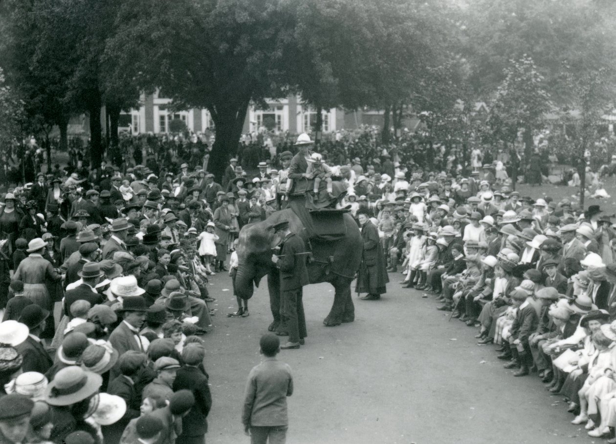 Davy návštěvníků sledují jízdu na slonech v londýnské zoo, srpnový svátek, 1922 od Frederick William Bond