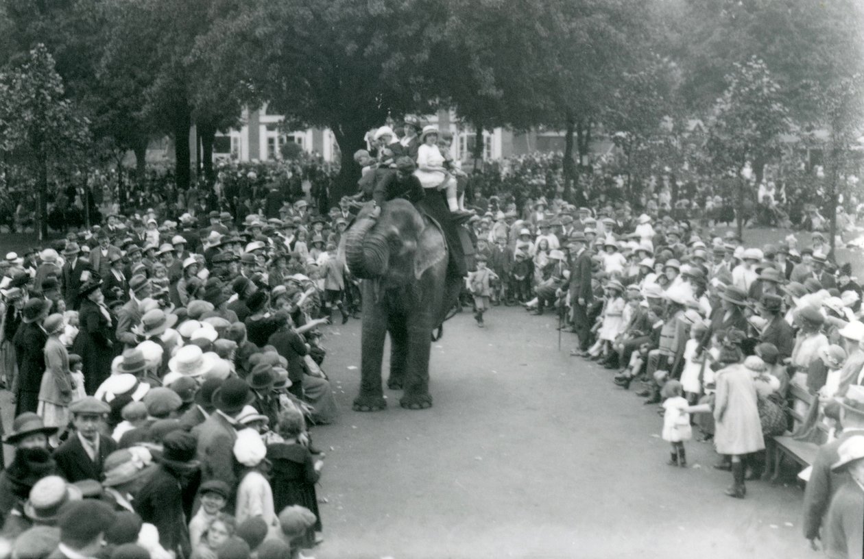 Davy návštěvníků sledují jízdu na slonech v londýnské zoo, srpnový svátek, 1922 od Frederick William Bond