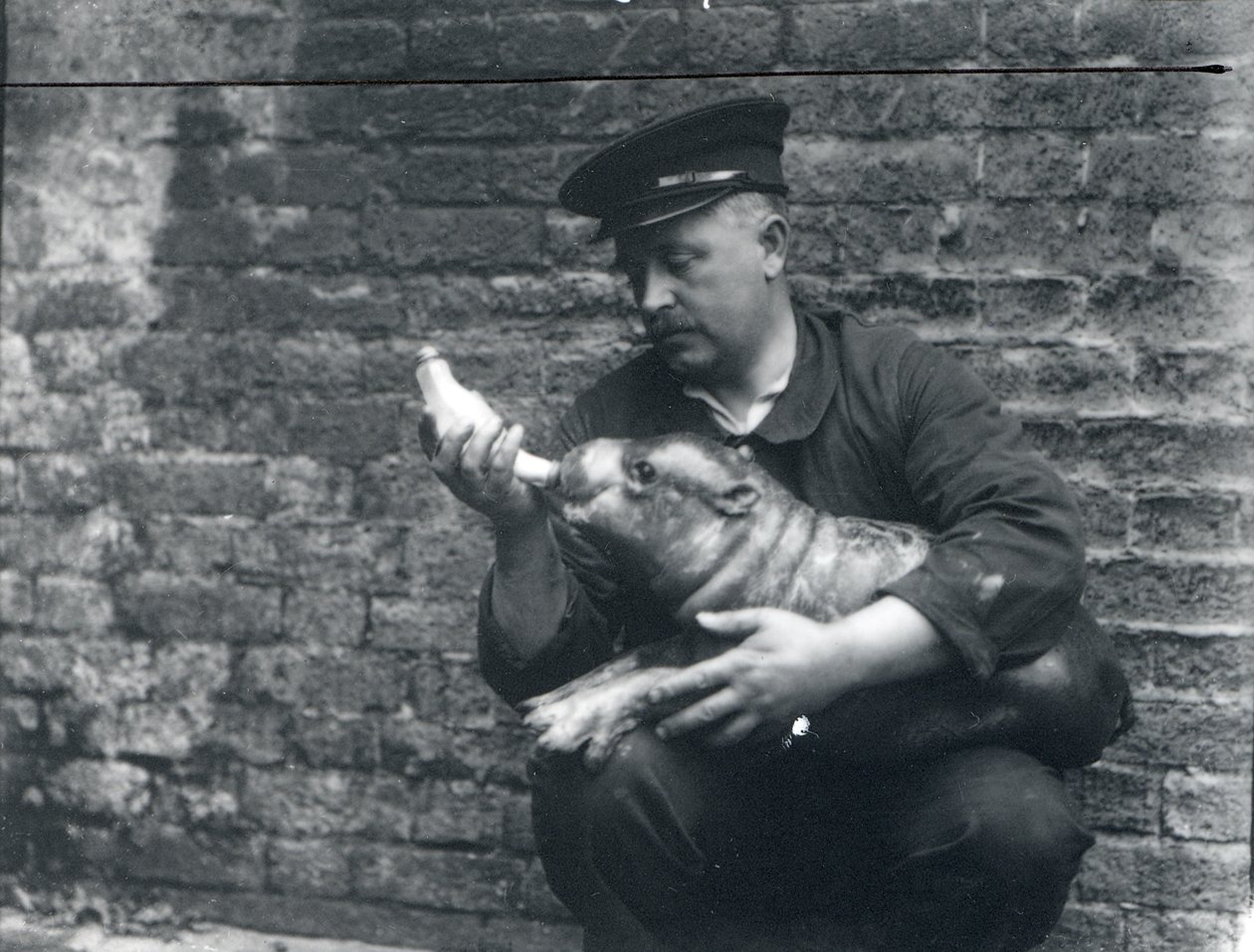 Ernie Bowman, cca 1926-27 od Frederick William Bond