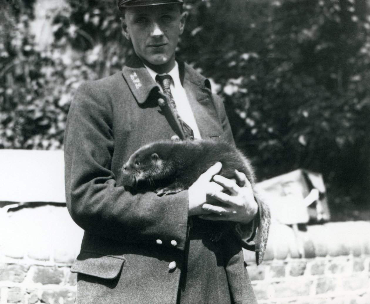 Chovatel Leslie Martin Flewin drží v náručí mládě vydry v londýnské zoo, červen 1922 od Frederick William Bond