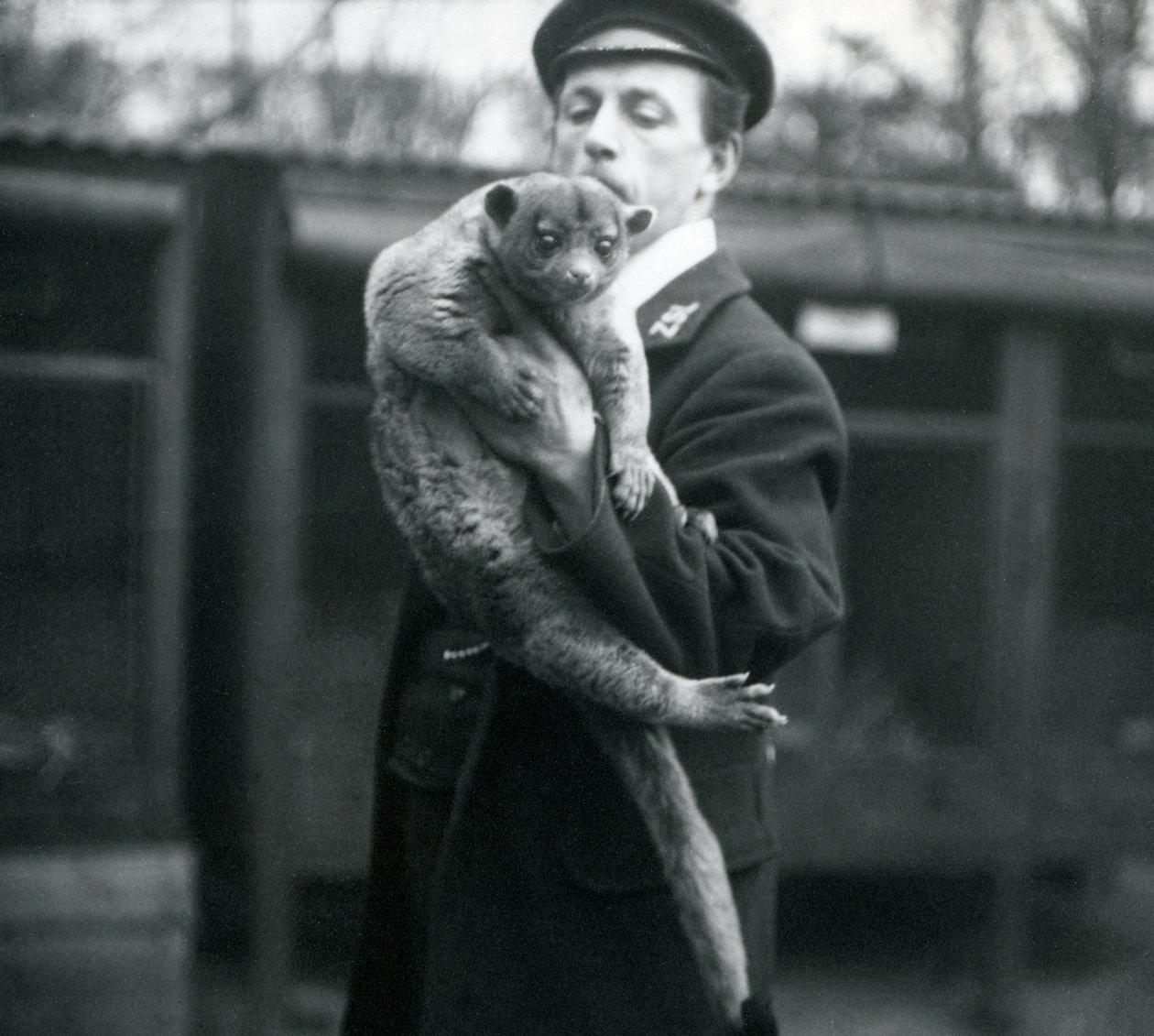 Chovatel, Leslie Martin Flewin, držící Kinkajou v londýnské zoo, únor 1913 od Frederick William Bond