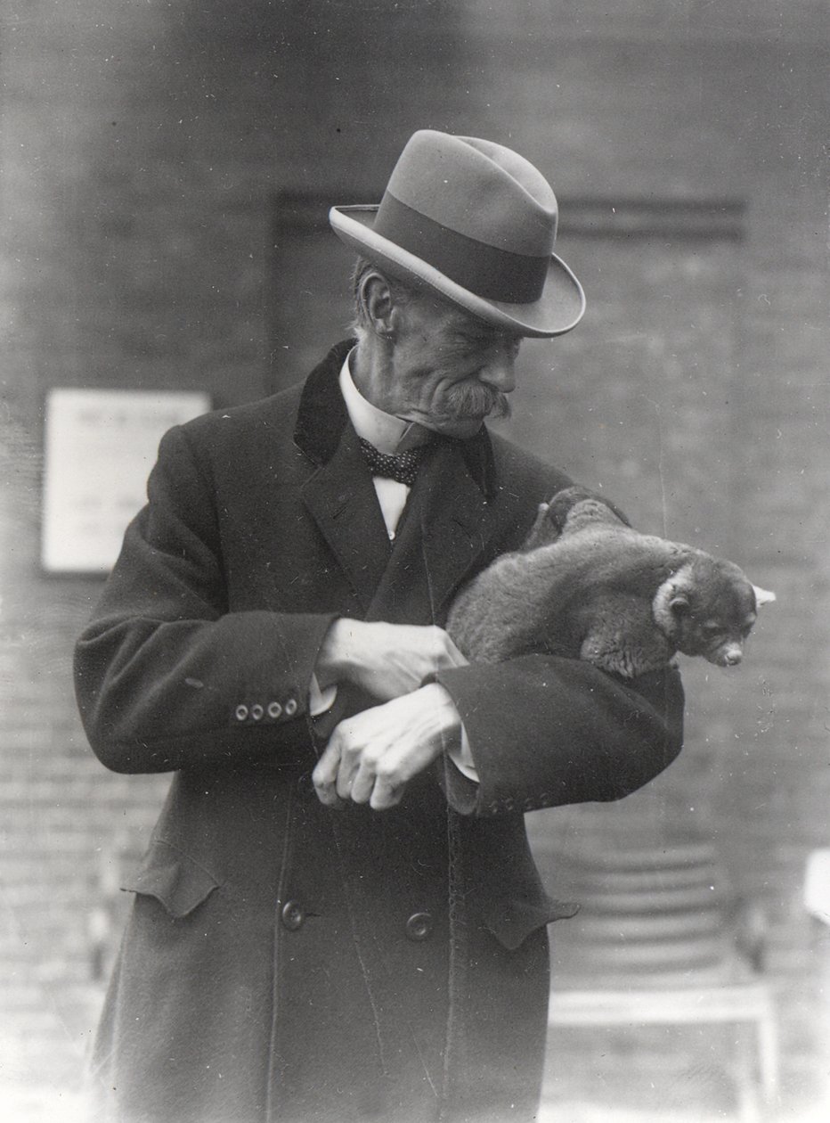 R. I. Pocock s kinkajou od Frederick William Bond