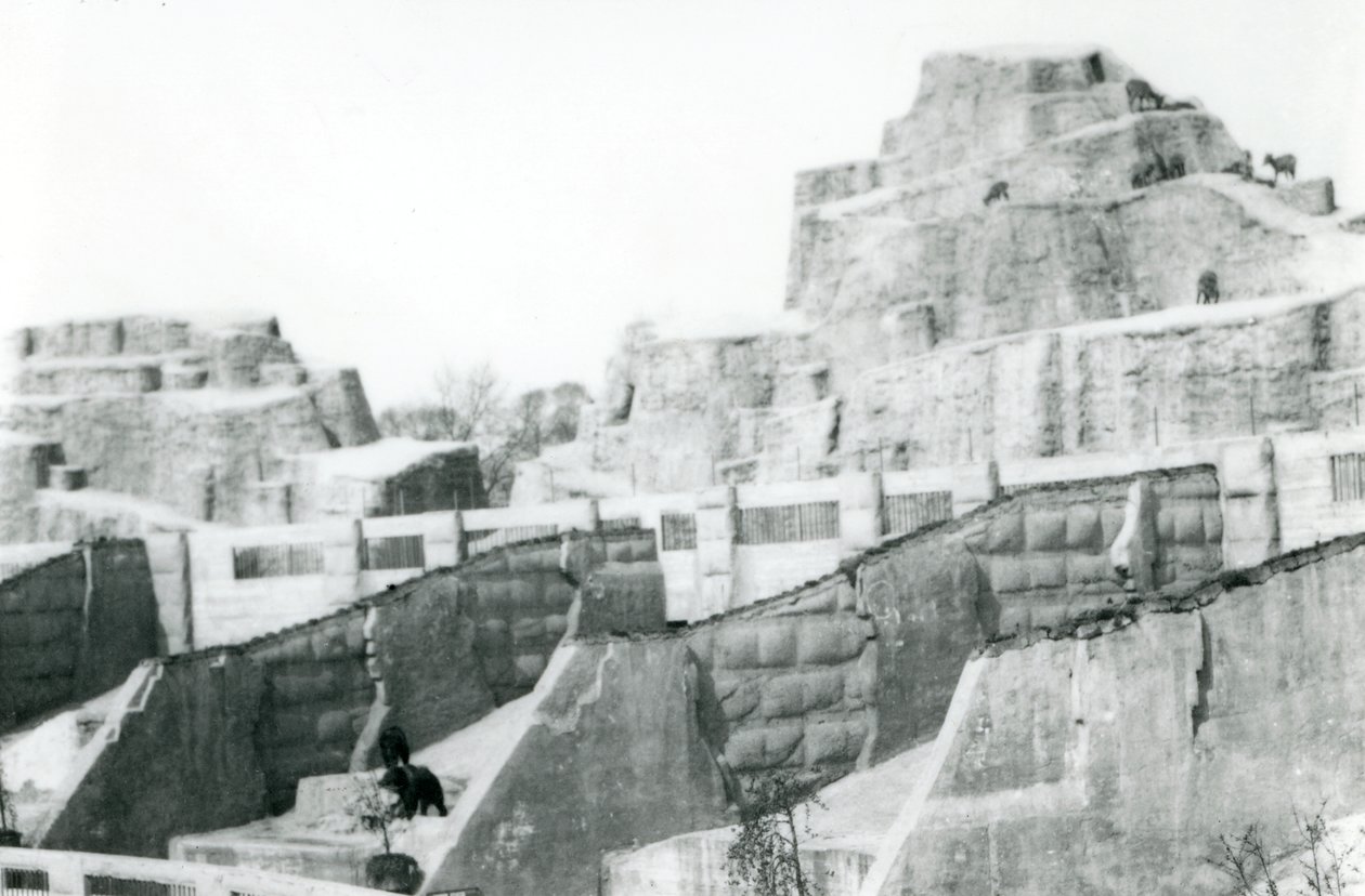 The Mappin Terraces, London Zoo, 1922 od Frederick William Bond